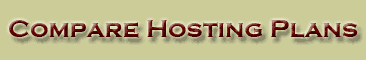 Hosting With Buffalo Web Solutions, LLC