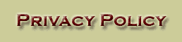 Buffalo Web Solutions, LLC Privacy Policy