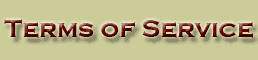 Buffalo Web Solutions, LLC Terms of Service